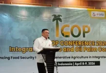 Integrasi Sapi–Sawit Jadi Kunci, tapi Tantangan Implementasi Masih Besar