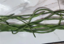 Vitamin dalam Kacang Panjang Sehat