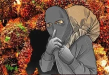 Resah Ninja Sawit dan Narkoba, Polisi Diminta Tingkatkan Pengawasan