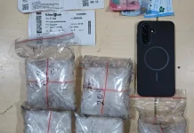 Aksi Gagal di Bandara, Kurir Sabu 5 Kg Diciduk Polisi