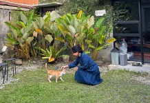 Healing Tak Harus Mahal: Menemukan Ketenangan dari Hal Sederhana di Sekitar Kita