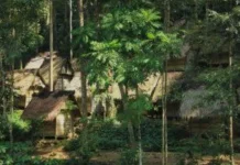 Desa Wisata Bagakshampae, Menyelami Kehidupan Asli Suku Sakai di Kampar