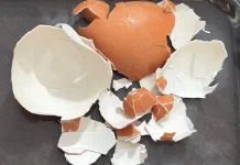 Jangan Dibuang, Ini Manfaat Lain dari Cangkang Telur