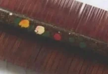 Sisir Kutu yang Mulai Terlupakan