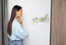 Tips Mengatasi Ruangan Lembap agar Tetap Nyaman dan Sehat