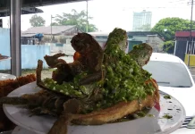 Lele Goreng Sambal Hijau Kuliner Nusantara yang Gurih, Bergizi