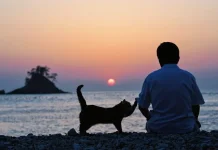Pria yang Menyukai Kucing: Kelembutan, Empati, dan Perspektif Baru tentang Maskulin