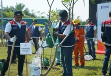 Peringati Hari Bumi 2026 dan HUT ke-65, Hutama Karya Tanam 17.000 Pohon di Jalan Tol