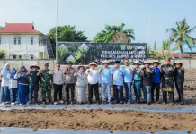 Wakil Wali Kota Dumai Ikuti Tanam Jagung