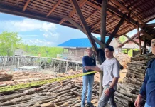Praktik Mangrove Ilegal di Meranti, Polisi Tangkap Dua Pemilik Dapur Arang