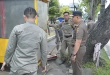 Satpol PP Pekanbaru Tertibkan Puluhan Lapak PKL di Jalan Protokol