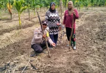 Dukung Swasembada Pangan, Polsek Merbau Lakukan Pengecekan Lahan Warga