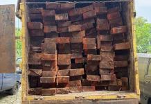 Polda Riau Bongkar Illegal Logging di Giam Siak Kecil
