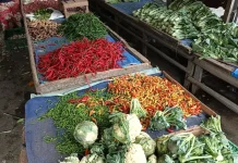 Dampak Elnino, Harga Sayur Pekanbaru Naik Drastis