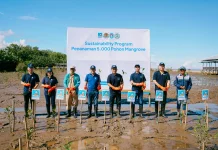 Komitmen Jaga Lingkungan, ACC Tanam 5.000 Mangrove di Pontianak