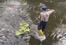 Pemkot Pekanbaru Intensifkan Pengerukan Sungai dan Drainase Antisipasi Hujan