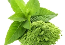 Pure Matcha: Rahasia Teh Hijau Premium yang Kaya Manfaat