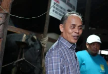 Bupati Inhil Pastikan Kesehatan Hewan Kurban Presiden
