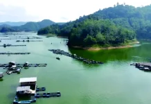 Pesona Wisata Keramba di Waduk PLTA Koto Panjang