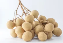 Mengenal Berbagai Jenis Buah Kelengkeng Unggulan