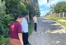 Bupati Kampar Cek Infrastruktur Box Culvert