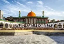 Masjid Raya Senapelan Siapkan 12 Sapi Kurban Iduladha