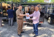 Puluhan Hewan Kurban Terkumpul di Islamic Center Bangkinang