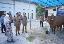 Warga Kuok Terima Sapi Presiden