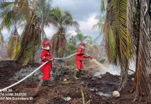 Lebaran Iduladha, Manggala Agni Padamkan Karhutla di Riau