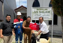 PGN Salurkan 7 Kambing Kurban ke Masjid di Riau, Perkuat Kepedulian Sosial di Moment