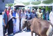 Wabup Kampar Tinjau Pemotongan Hewan Kurban