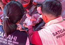 Sebanyak 122 Veteriner Awasi Kurban di 33 Titik, Sapi Banpres Ikut Dimonitor