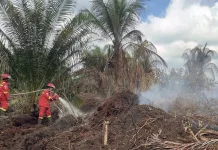 Karhutla Riau Belum Jinak, Manggala Agni Bermalam di Dekat Titik Api