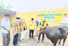 Golkar Riau Sembelih 5 Sapi dan 4 Kambing, Ribuan Paket Daging Dibagikan