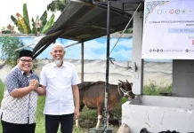 Wako Paisal Terima Bantuan Sapi Qurban dari Persatuan Masyarakat Riau Jakarta