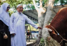 Sekdako Fahmi Lakukan Penyembelihan Sapi Kurban Bantuan Presiden