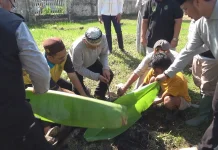 Sekretariat Daerah Inhil Potong Kurban
