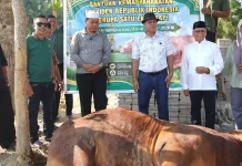 Sapi Kurban Bantuan Presiden Dipotong di Inuman