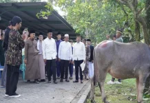Islamic Center  Masuk 4 Besar Nasional Penyumbang Hewan Qurban Terbanyak