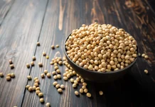Manfaat Kacang Kedelai untuk Kesehatan Kulit