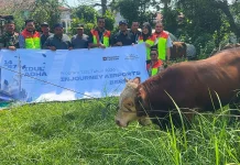 Bandara SSK Pekanbaru Berbagi Daging Kurban dengan Masyarakat Sekitar