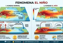 Cuaca Panas Berkepanjangan, Bisa Jadi Dampak El Nino