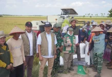 BULOG Tembus 3 Juta Ton Serapan Gabah-Beras, Kanwil Riau dan Kepri Berkontribusi