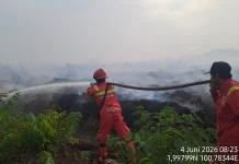 Karhutla di Pelalawan, Rupat dan Rohil Jadi Fokus Penanganan