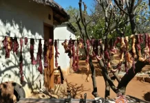 Duel Kuliner Grup A Piala Dunia: Cecina Meksiko vs Biltong Afrika Selatan