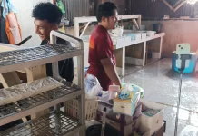 Permintaan Tahu untuk MBG Meningkat, Produsen Mendapat Berkah
