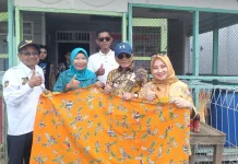 Bupati Rohil Borong Batik dan Produk Olahan Laut UMKM Penipahan