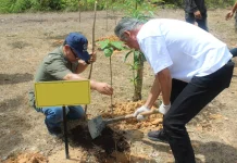 Belantara Foundation Ajak Mitra Jepang Tanam Pohon