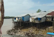 Abrasi Picu Longsor di Kuala Enok, Empat Rumah Hanyut ke Sungai