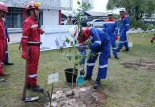 Pertamina Patra Niaga Kilang Dumai Lakukan Aksi Penghijauan di Dua Tempat